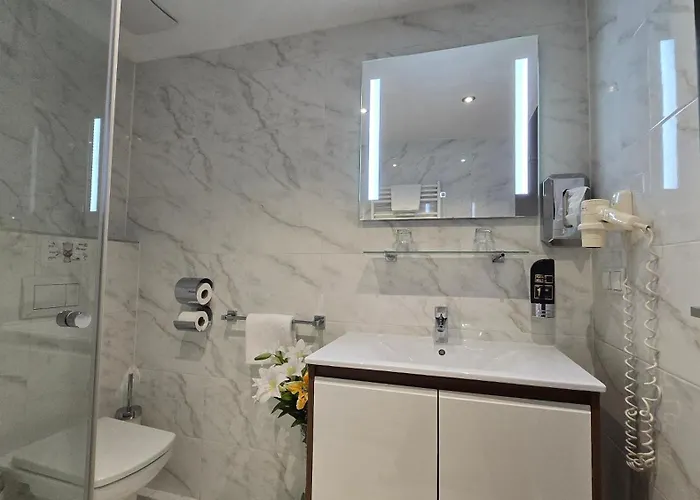 Koenig Otel 3*